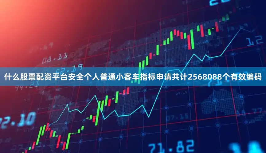 什么股票配资平台安全个人普通小客车指标申请共计2568088个有效编码