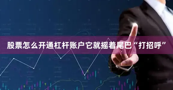 股票怎么开通杠杆账户它就摇着尾巴“打招呼”